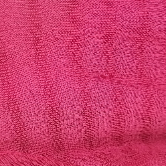 Zara Cranberry Dropped Waist Sheer Overlay Dress with Slip - Picture 9 of 13